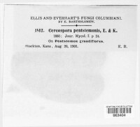 Cercospora penstemonis image